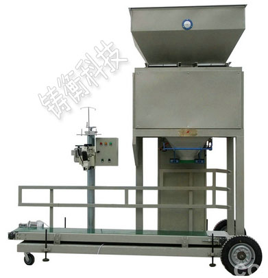 �p���p�^�������b��