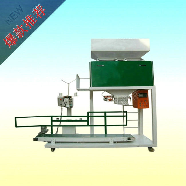 �����s�Z�������b��