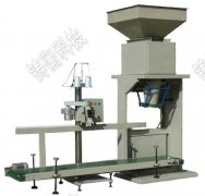 �o�C(j��)�ʰ��ԄӰ��b��