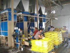 ���P���w���������b�C���Sֱ��